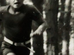 1980 KAMP